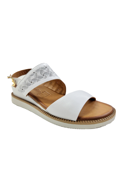 Arrow Cabello White Arrow CC37221 front