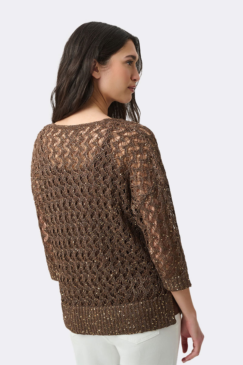 Sequin V Neck Jumper Mahogany 271979 CC37708 back