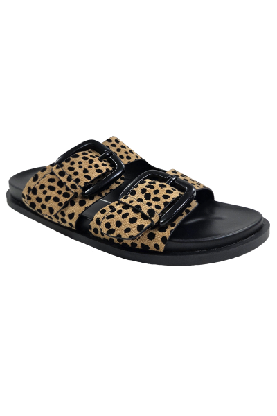 Zani Los Cabos Cheet Zani CC37154 angle